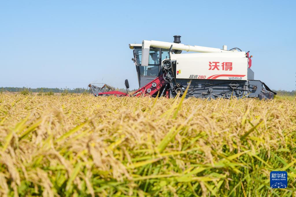 捕鱼游戏赚钱换人民币是真的